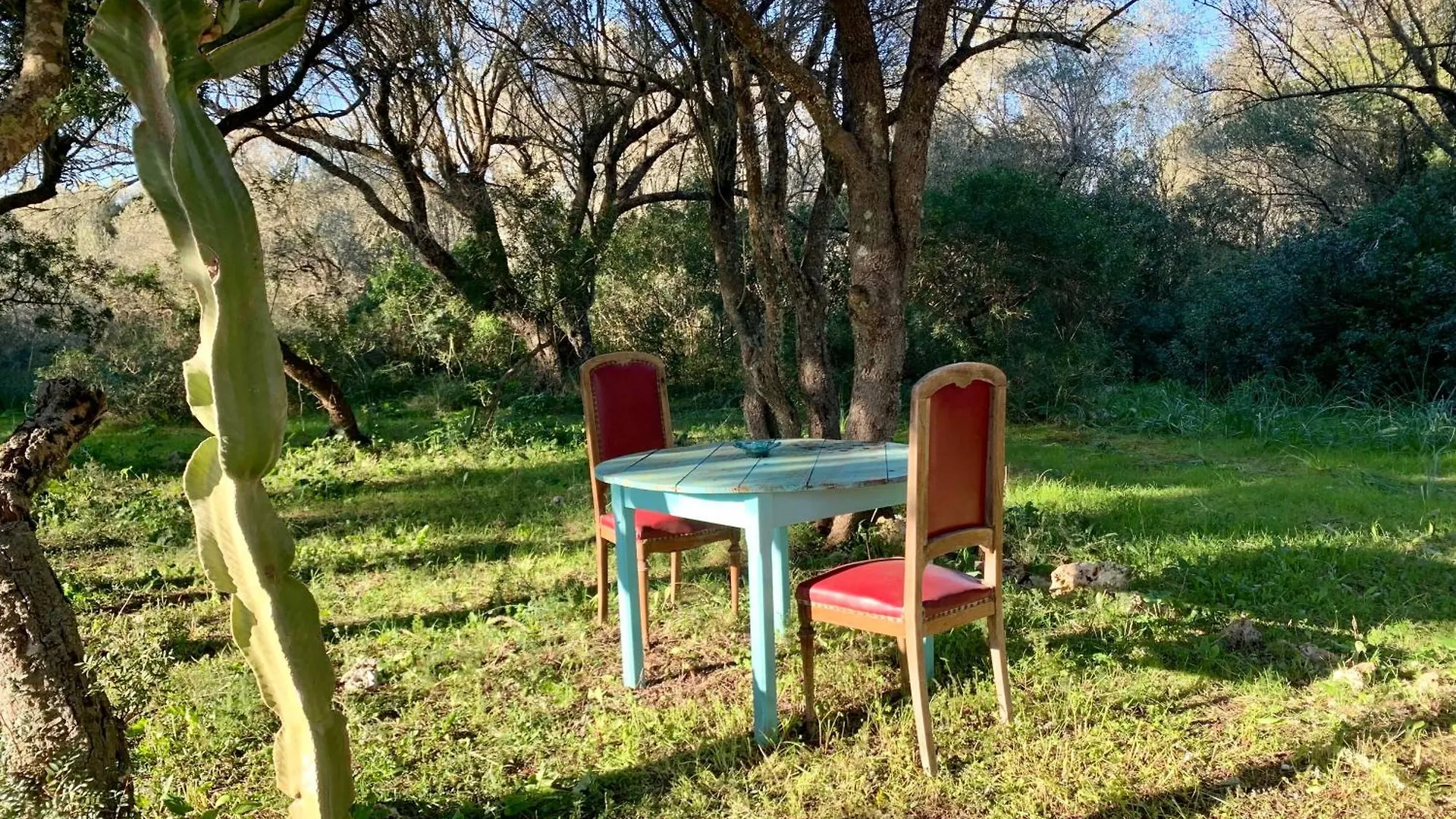Finca Na Pruna Holiday Home Lloret de Vistalegre